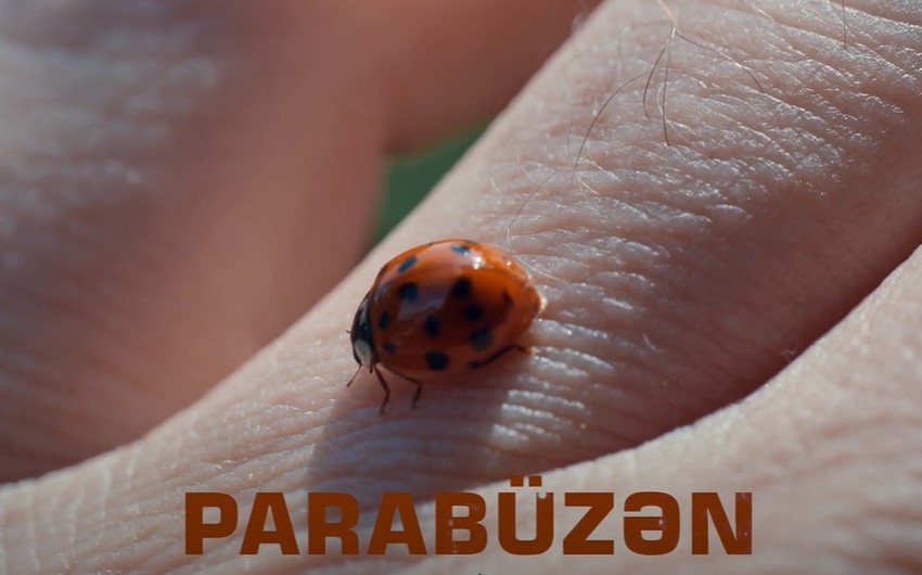 54 gün erməni mühasirəsində qalmış azərbaycanlılarla bağlı “Parabüzən” filmi təqdim olunacaq