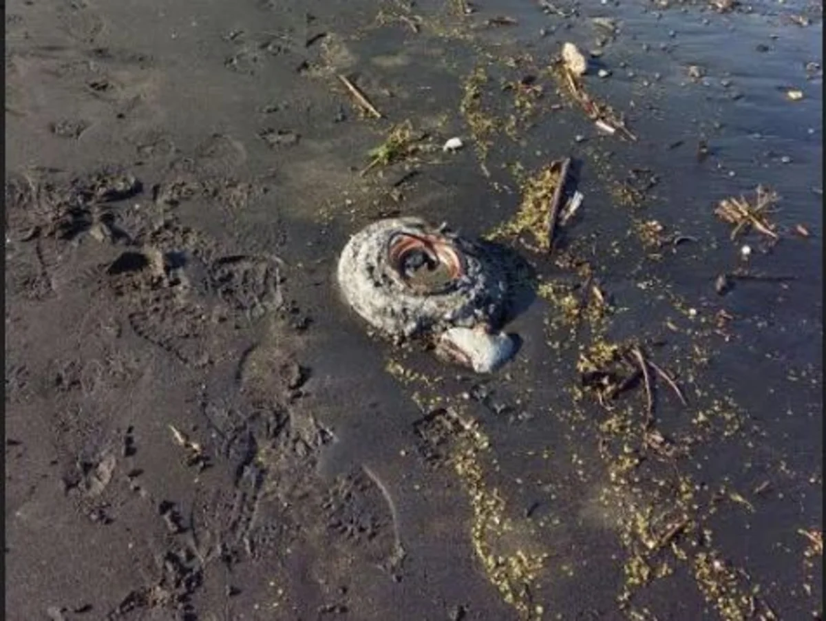 Lənkəranda tank əleyhinə mina tapılıb