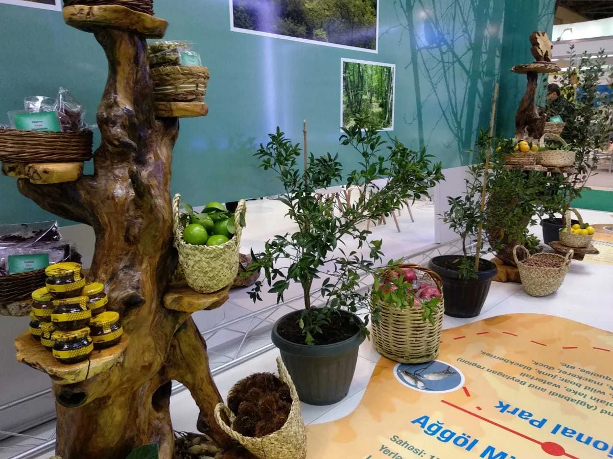 Bakıda “Caspian Ecology” 9-cu Azərbaycan Beynəlxalq Ətraf Mühit Sərgisi başlayıb