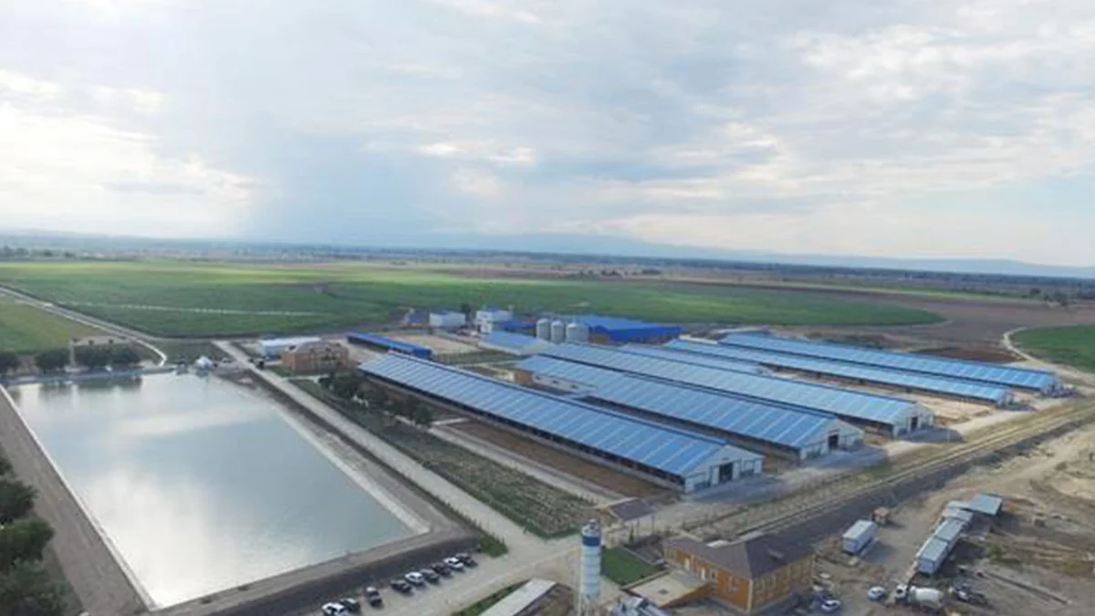 Xaçmazda yeni aqropark yaradılıb