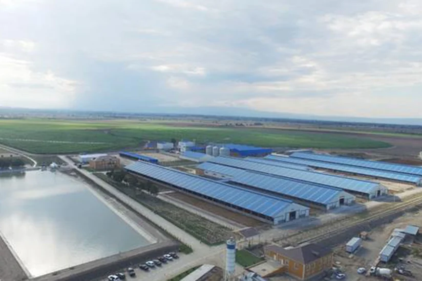 Xaçmazda yeni aqropark yaradılıb