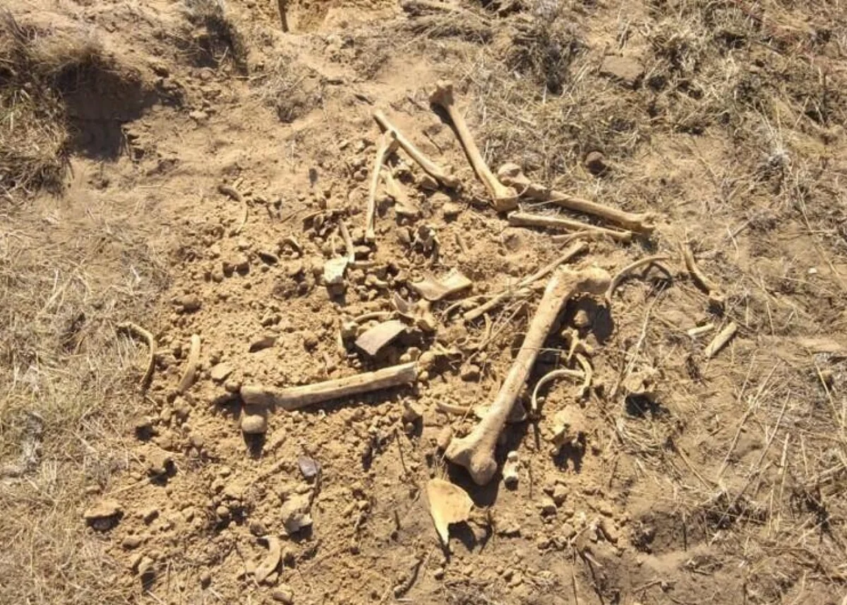 Ağdərədə insana məxsus olduğu ehtimal edilən sümük fraqmentləri aşkarlanıb