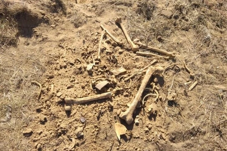 Authorities probe discovery of potential human remains in Azerbaijan's Aghdara