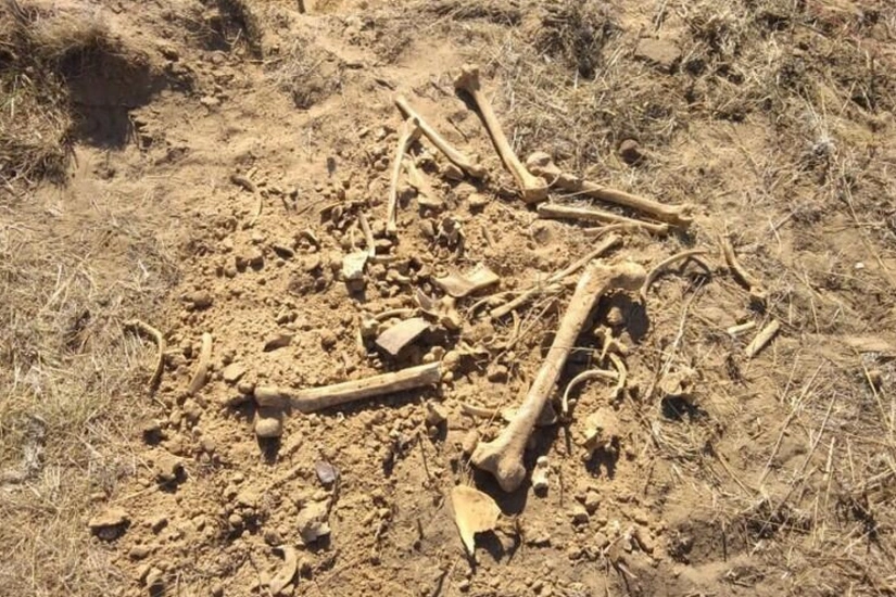 Authorities probe discovery of potential human remains in Azerbaijan's Aghdara