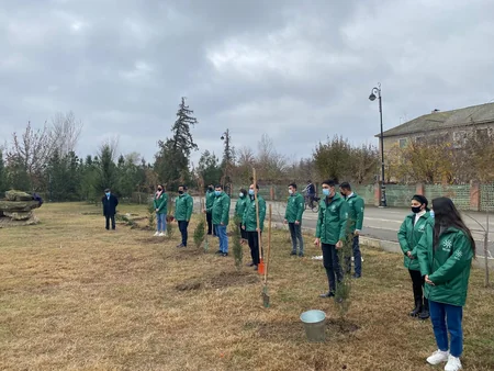 Kürdəmirdə şəhidlərin şərəfinə şam ağacları əkilib