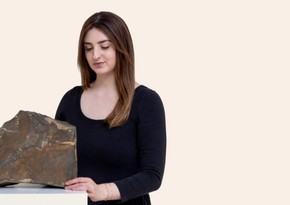 Marsın nəhəng parçası hərracda rekord qiymətə satılıb