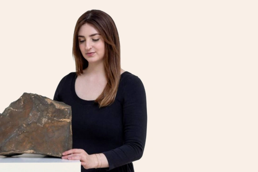 Marsın nəhəng parçası hərracda rekord qiymətə satılıb