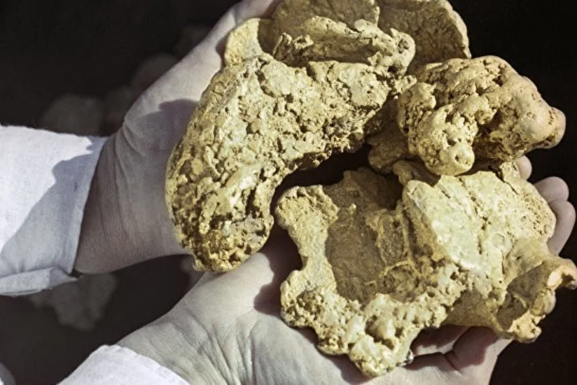 Avstraliyada dünyanın ən böyük qızıl külçəsi tapılıb