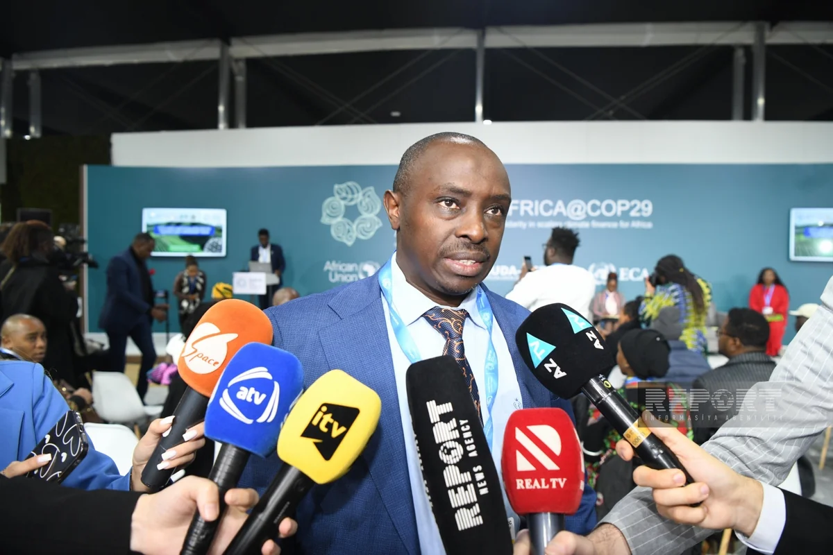 Pan-African Alliance: Regional countries need $3 trillion to meet climate commitments