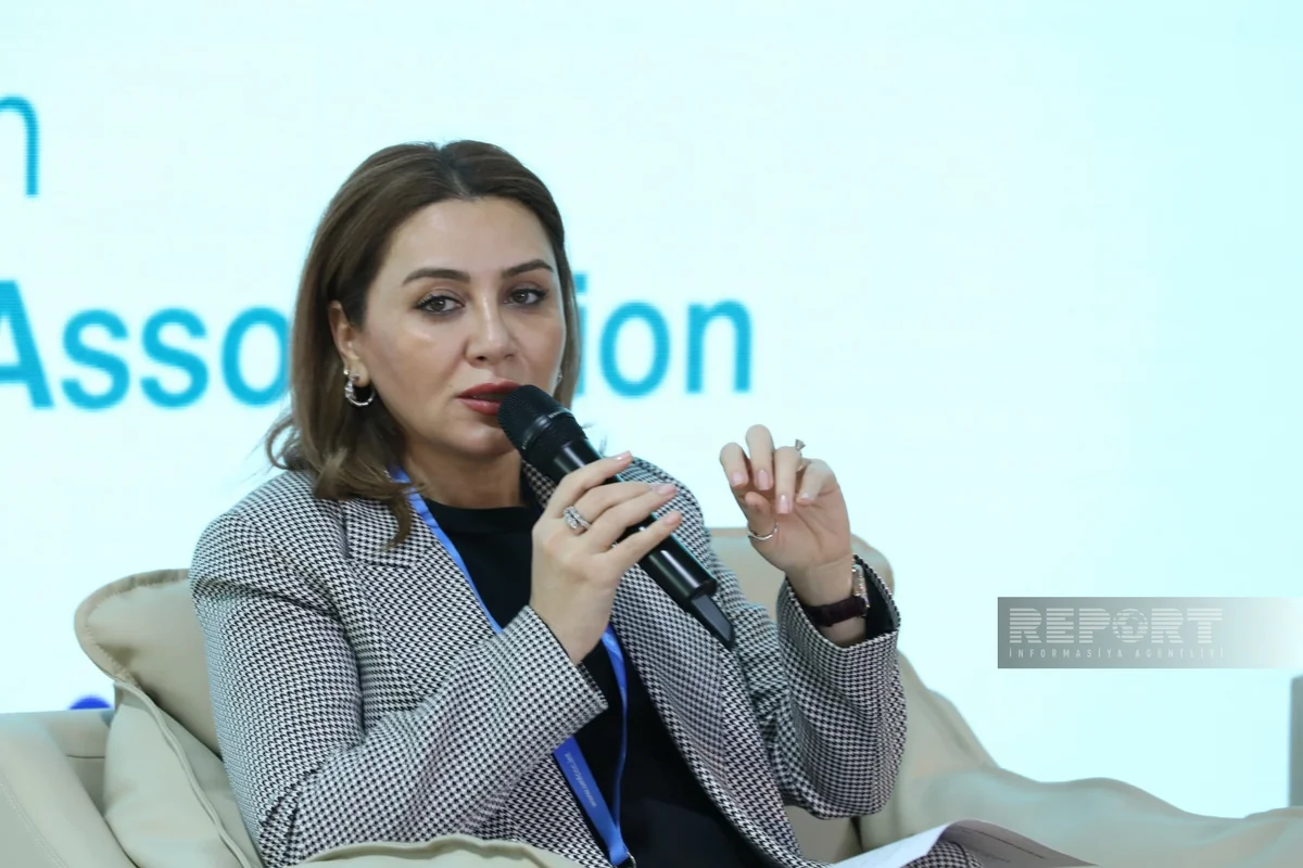 Organizing Committee member: COP29 was great experience for private sector