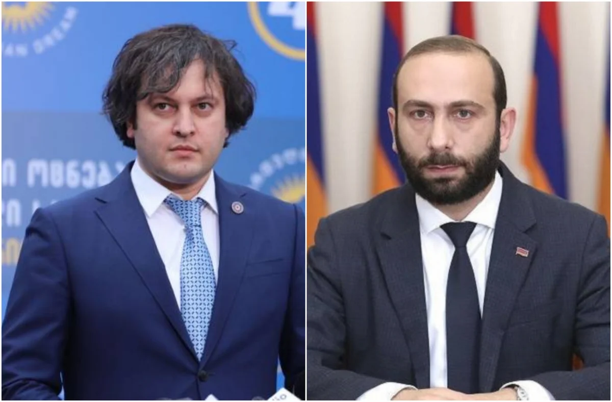 Georgian PM explores cooperation topics with Armenian FM