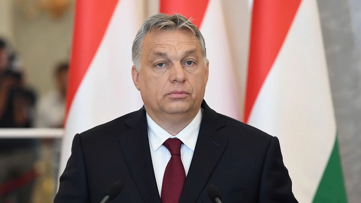 Hungary's Orban: No deal with Türkiye on Swedish NATO bid