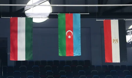 Azərbaycan gimnastları AGF Trophydə qızıl və gümüş medallar qazanıblar 
