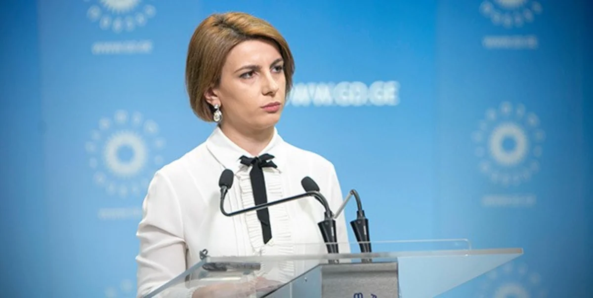 Vitse-spiker: “Gürcüstan parlamentində növbədənkənar iclasların keçirilməsinə ehtiyac yoxdur”
