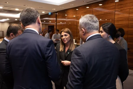 COP29 Əməliyyat Şirkəti biznes nümayəndələri üçün “Milli öhdəlik” proqramına başlayır