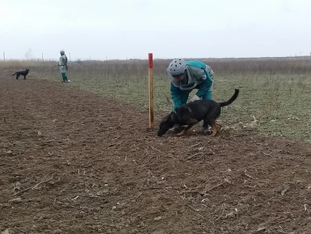 Cocuq Mərcanlıda gün ərzində 5 hektara yaxın ərazi təmizlənib