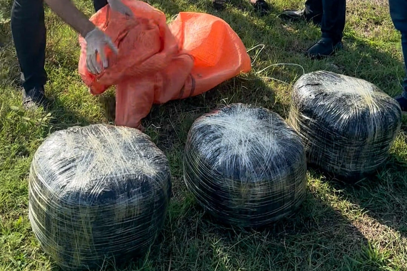 Lənkəranda 18 kiloqram narkotik vasitə dövriyyədən çıxarılıb