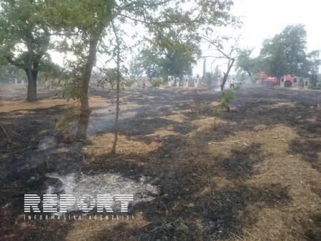 Qaxda kənd qəbiristanlığında yanğın baş verib - FOTO