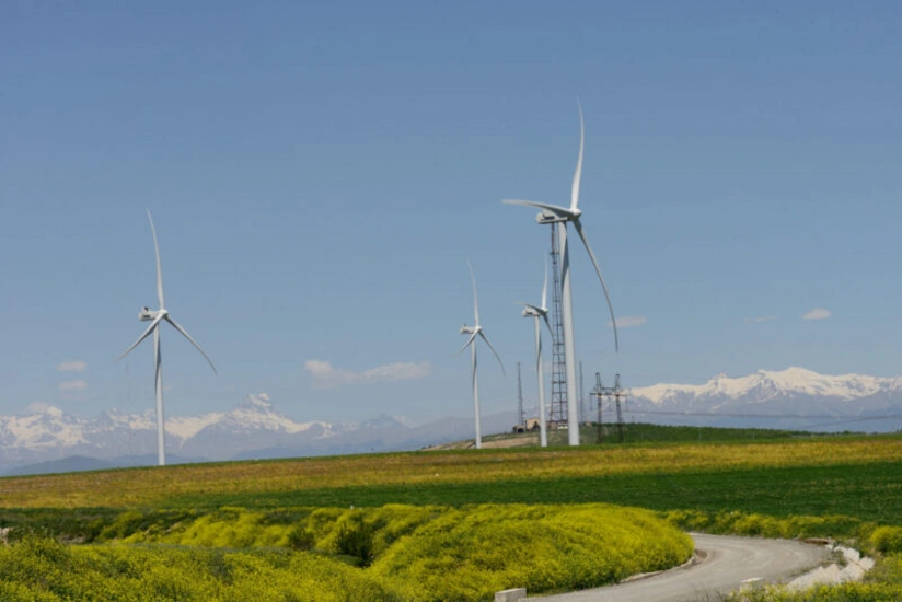 Новые ветряные станции 103,5 мегаватт планируется установить на западе Грузии