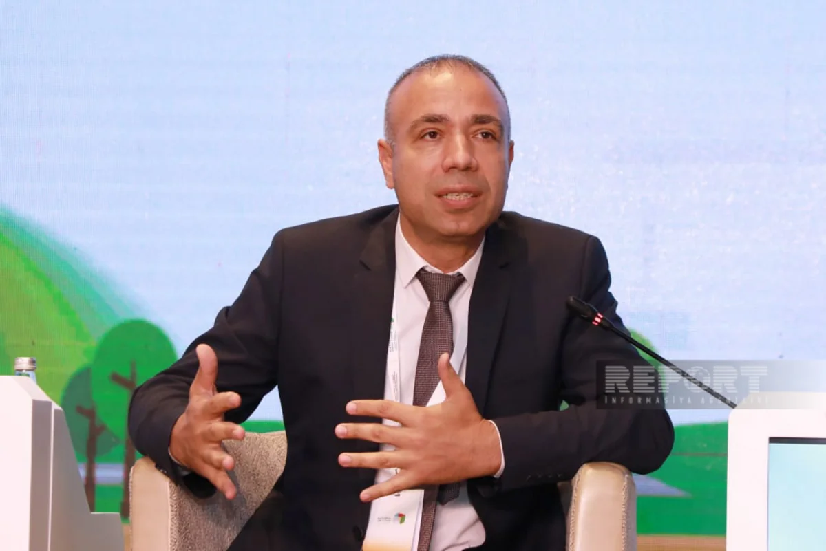 Elnur Soltanov: Enerji istehsalının 17 %-i bərpaolunan mənbələrin payına düşür