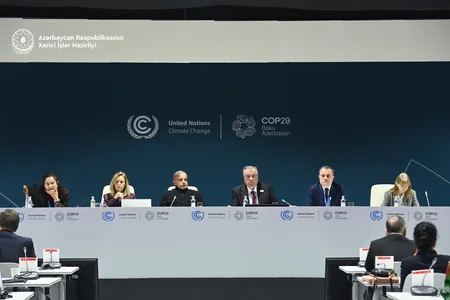 Azerbaijan's FM makes speech at Glaciers-2025: Taking Global Action to Protect Glaciers event