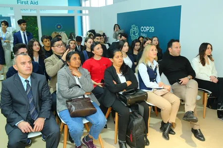 На COP29 обсудили роль НПО в борьбе с климатическим кризисом