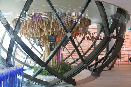 ​Azərbaycanın da təmsil olunduğu “Milan Expo 2015” beynəlxalq sərgisi açılıb