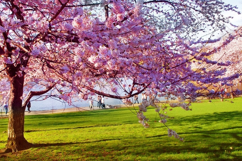 Ecologists: Air temperature will reach 32 C in Azerbaijan