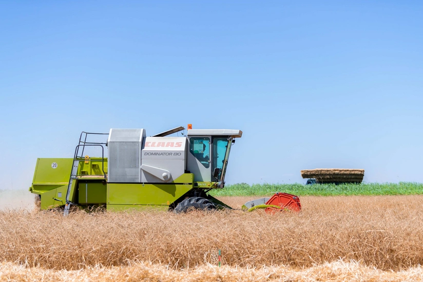 Azərbaycanda taxıl sahələrinin 11%-i biçilib