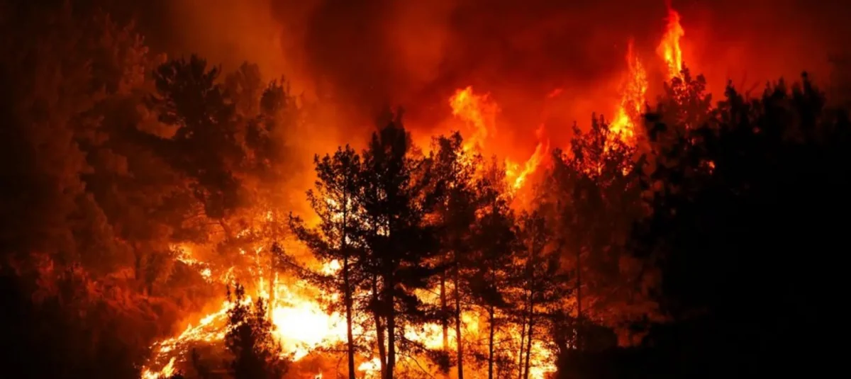 Türkiyənin yeddi vilayətində meşələr yanır