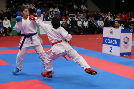 20 Yanvar şəhidlərinin xatirəsinə həsr olunan ənənəvi beynəlxalq karate turniri başa çatıb