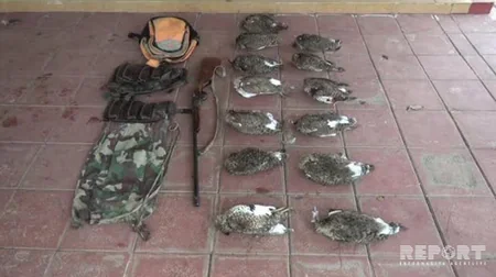 Azərbaycanda adı Qırmızı kitaba düşən quşları ovlayan şəxs tutulub - FOTO