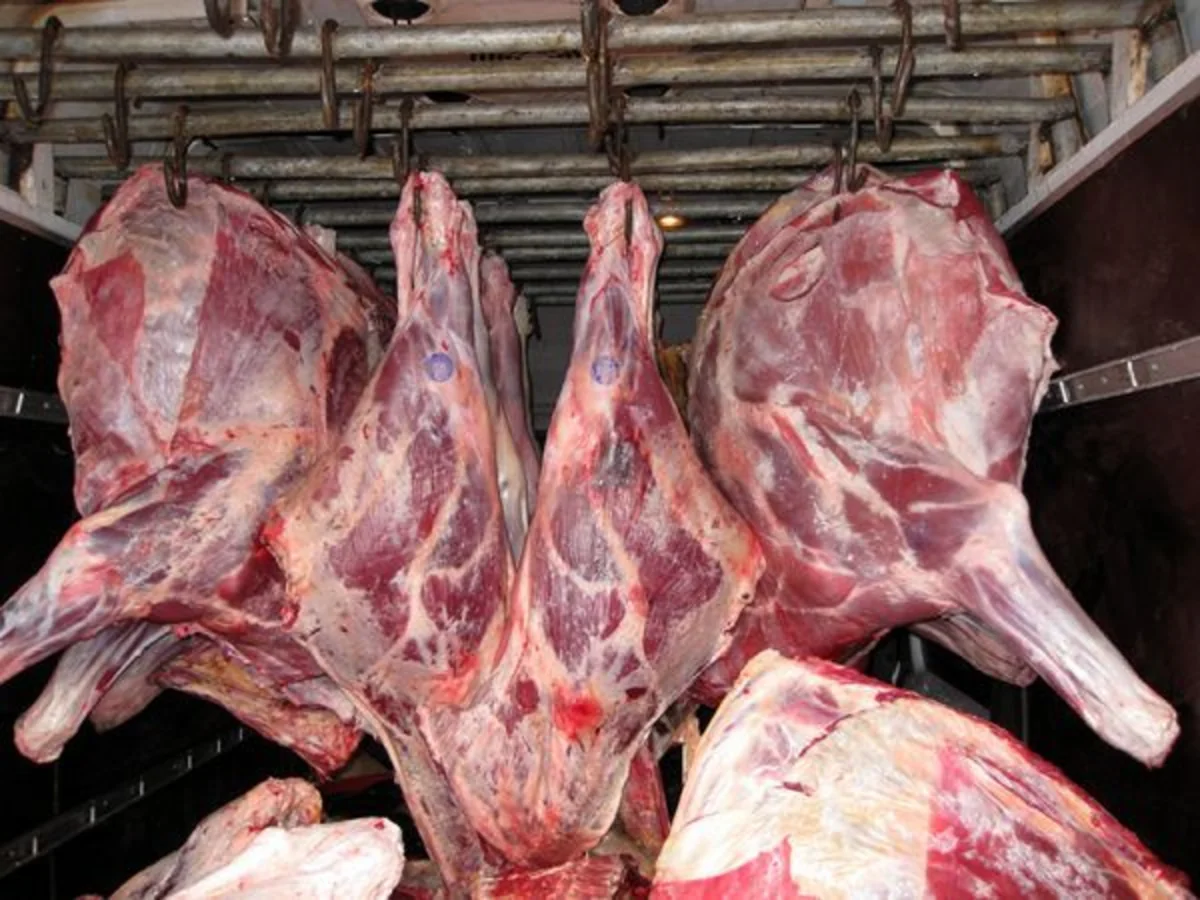 Bərdədə mənşəyi məlum olmayan 180 kq ət aşkarlanıb