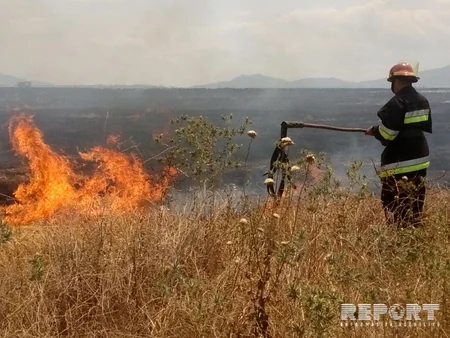 Fire occurred at Khaltan cemetery of Shabran region