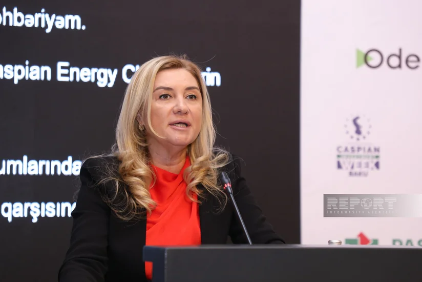 EBRD: Azərbaycan iqtisadiyyatında mikro, kiçik və orta biznesin payı əlavə dəyərin 15 %-nə bərabərdir