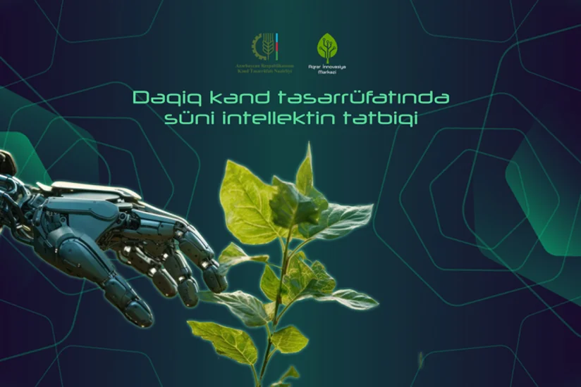 “Dəqiq kənd təsərrüfatında süni intellektin tətbiqi” layihəsinə start verilib