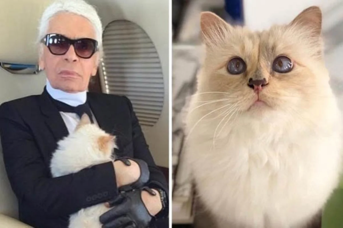 Karl Lagerfeld’s famous cat Choupette to inherit’ her fortune