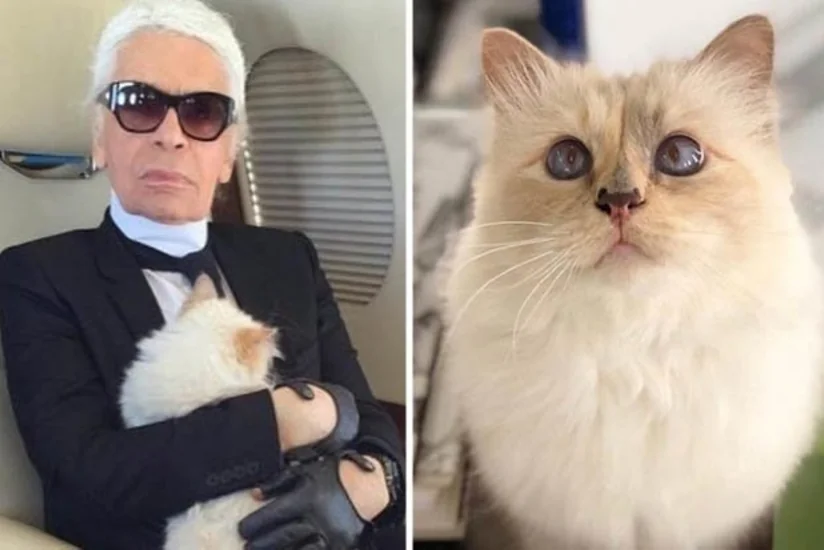 Karl Lagerfeld’s famous cat Choupette to inherit’ her fortune