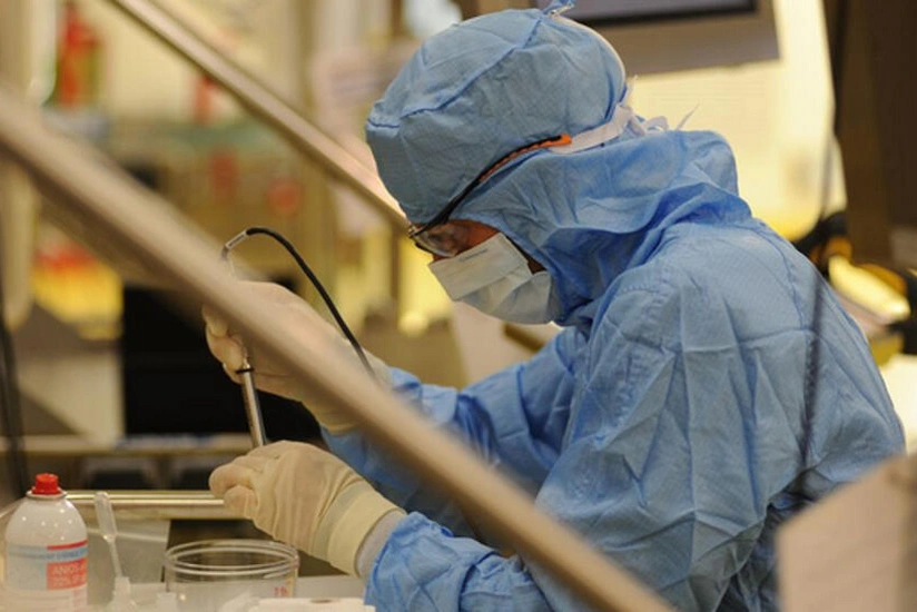 В Нигерии зафиксировали вспышку лихорадки денге