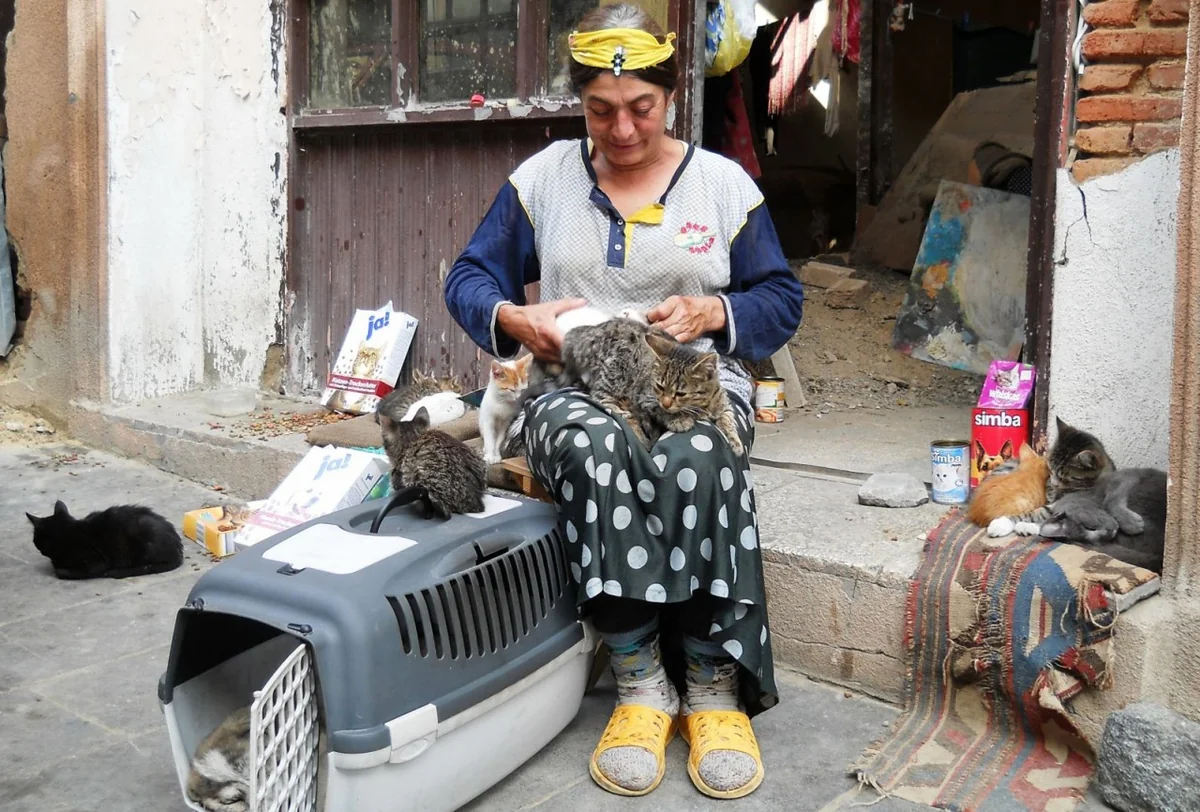 Armenia sees hike in inflation, public debt