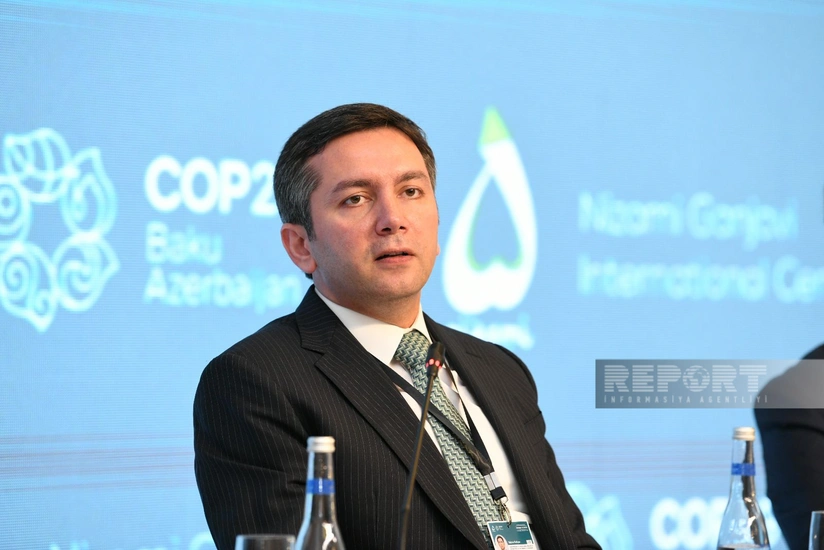 Yalchin Rafiyev: COP29 team to hold seminar on combating climate change in July