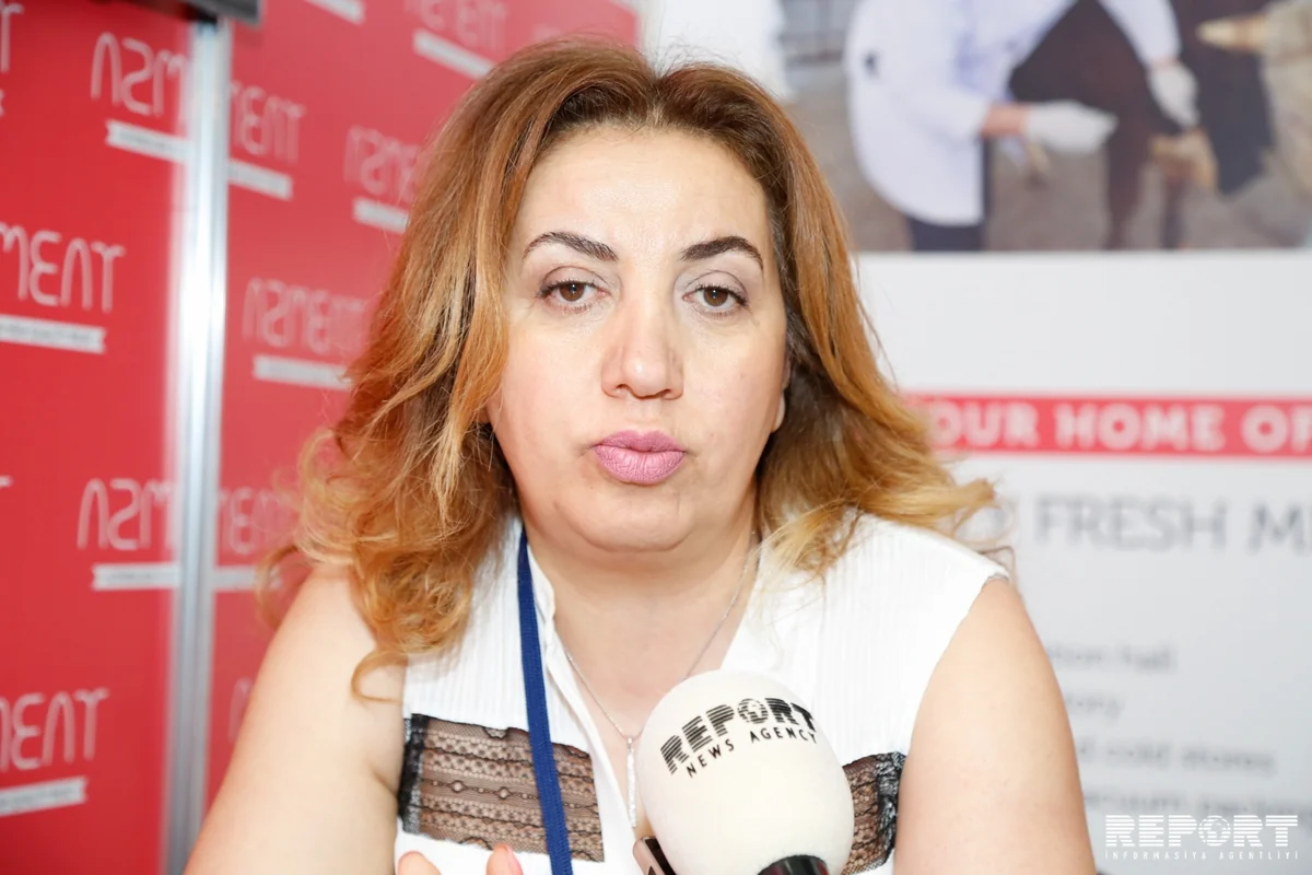 Azmeat: Məqsədimiz əhalini təzə və bütün gigiyenik qaydalara uyğun ətlə təmin etməkdir