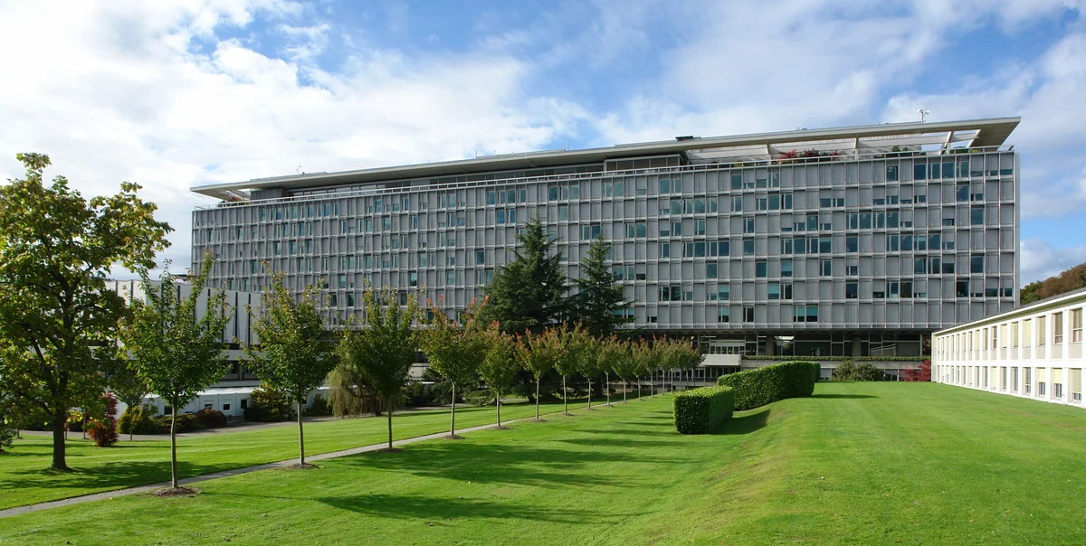 WHO convenes emergency meeting due to an outbreak of Ebola virus
