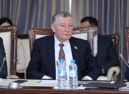 Члены Общественного совета при Минэкономики Азербайджана представили план действий депутатам