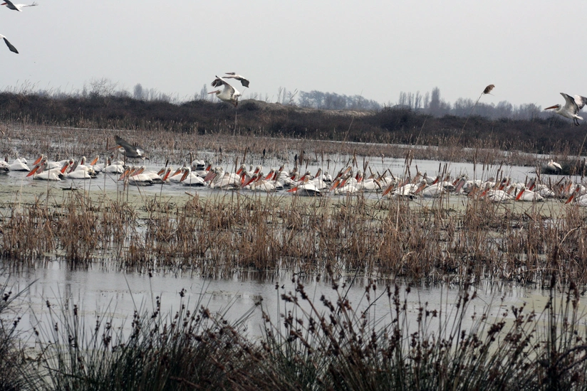 Field Trip to Gizil-Agaj Protected Area organized under the MENR and UNDP joint project