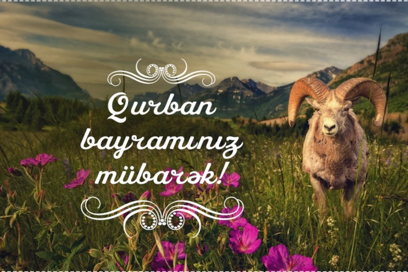 Qurbanlıq heyvan necə seçilməli və kəsilməlidir? - RƏY
