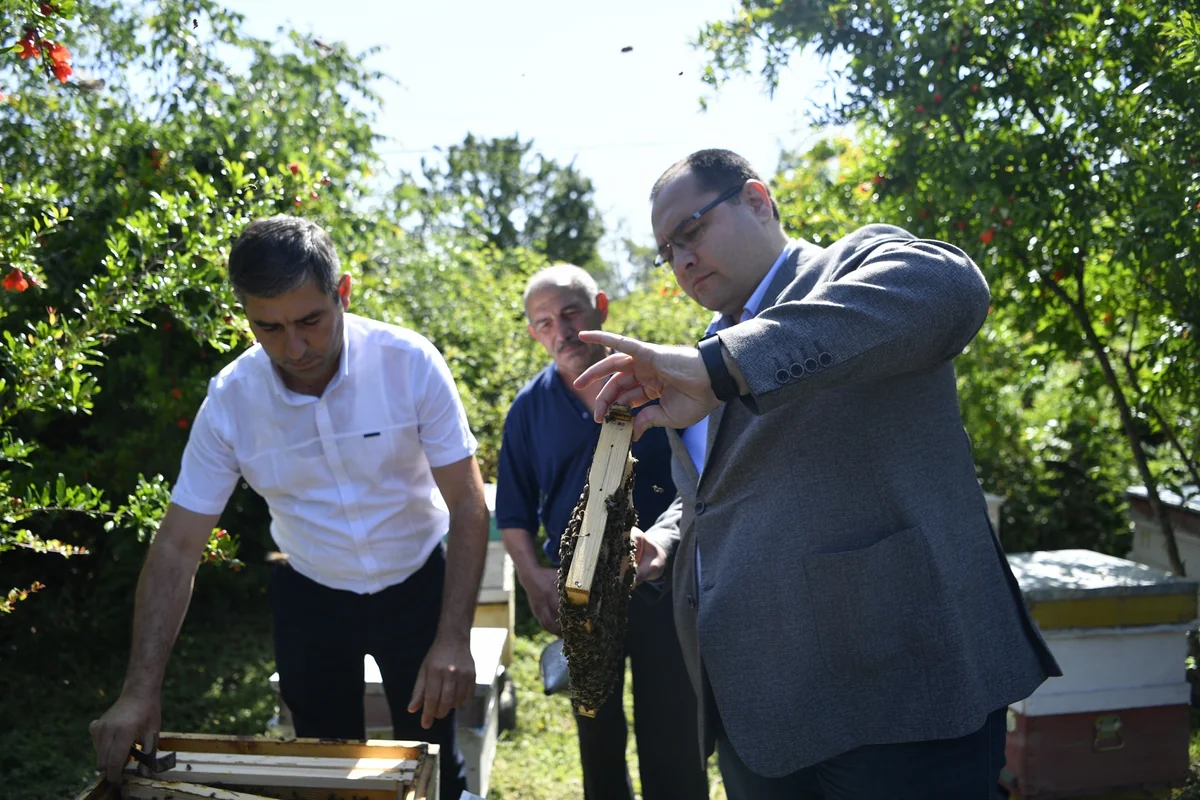 Məcnun Məmmədov Kürdəmirdə təsərrüfatlara baş çəkib, fermerlərlə görüşüb