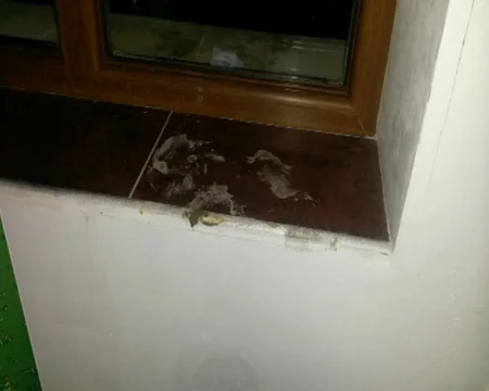 Bakıda marketdən oğurluq etmək istəyən keçmiş məhkum tutulub