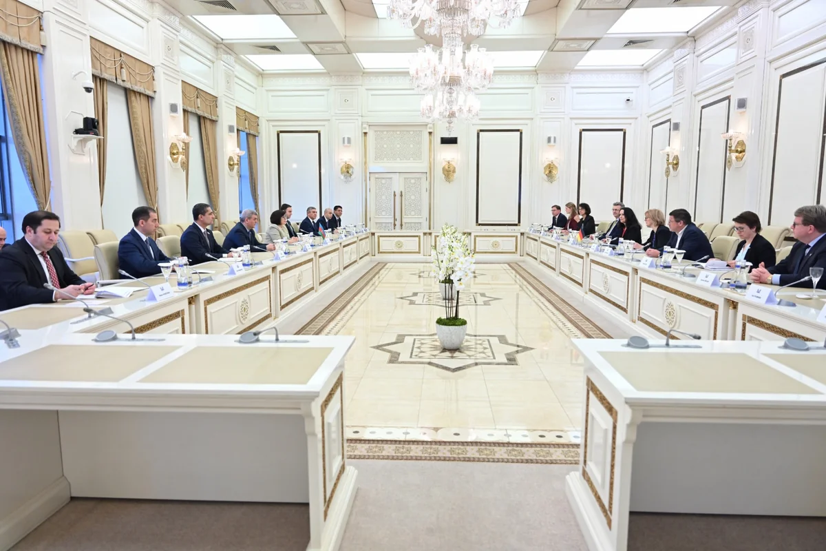 Sahibə Qafarova Almaniya Bundestaqının nümayəndə heyəti ilə görüşüb