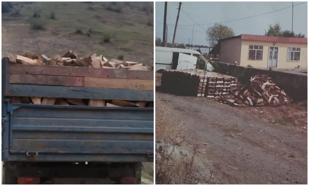 Lənkəranda qanunsuz yolla əldə olunmuş odun aşkarlanıb